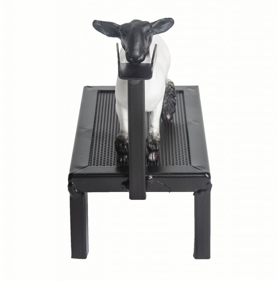 Why Sheep? ‎– Sampling Concerto Amazon.com: GFAZXDS Professional Goats/Alpaca/Sheep Shear